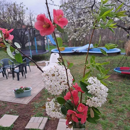 דירה Malibu Balaton North